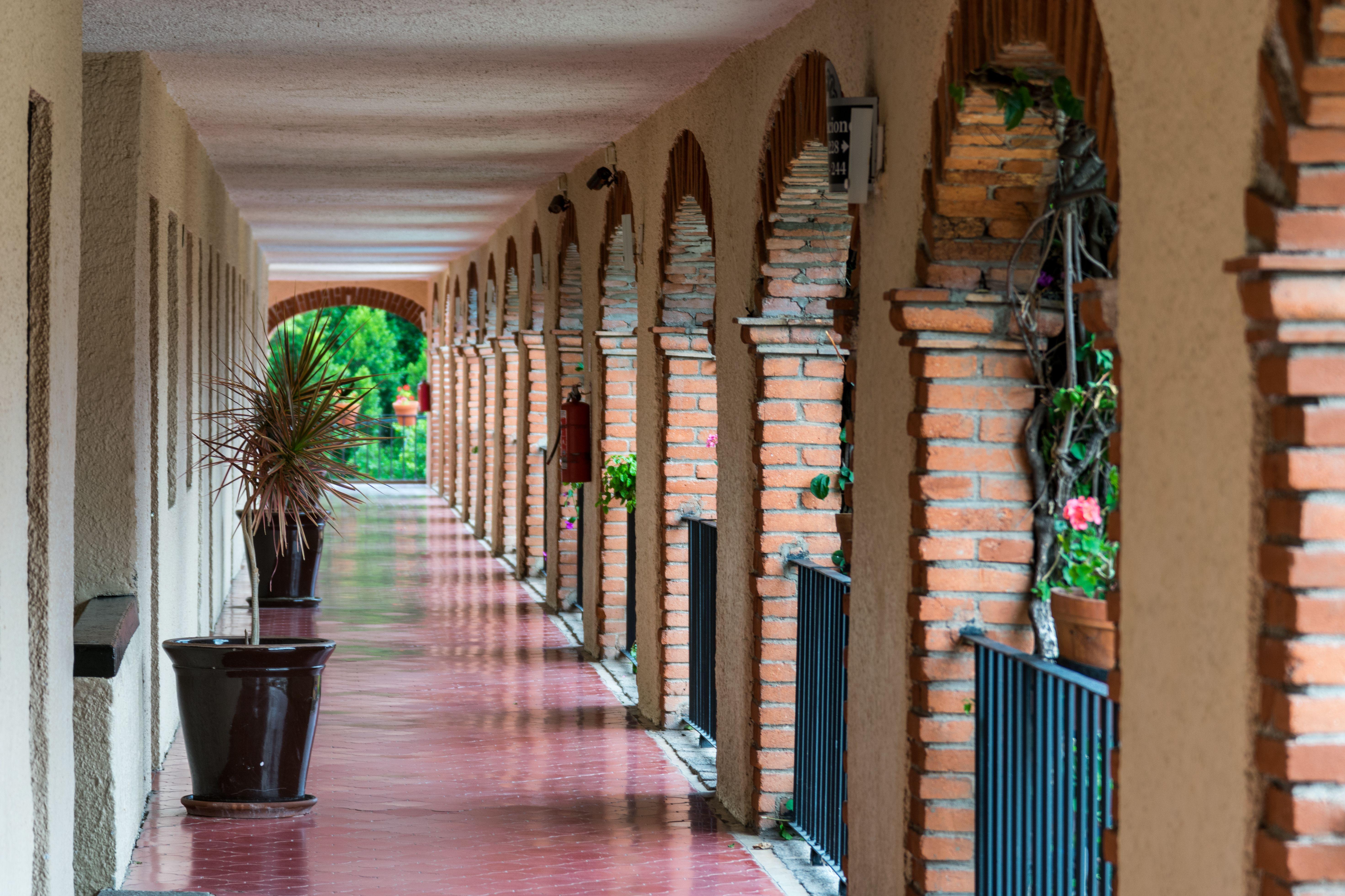 Hotel Abadia Plaza Guanajuato Zewnętrze zdjęcie