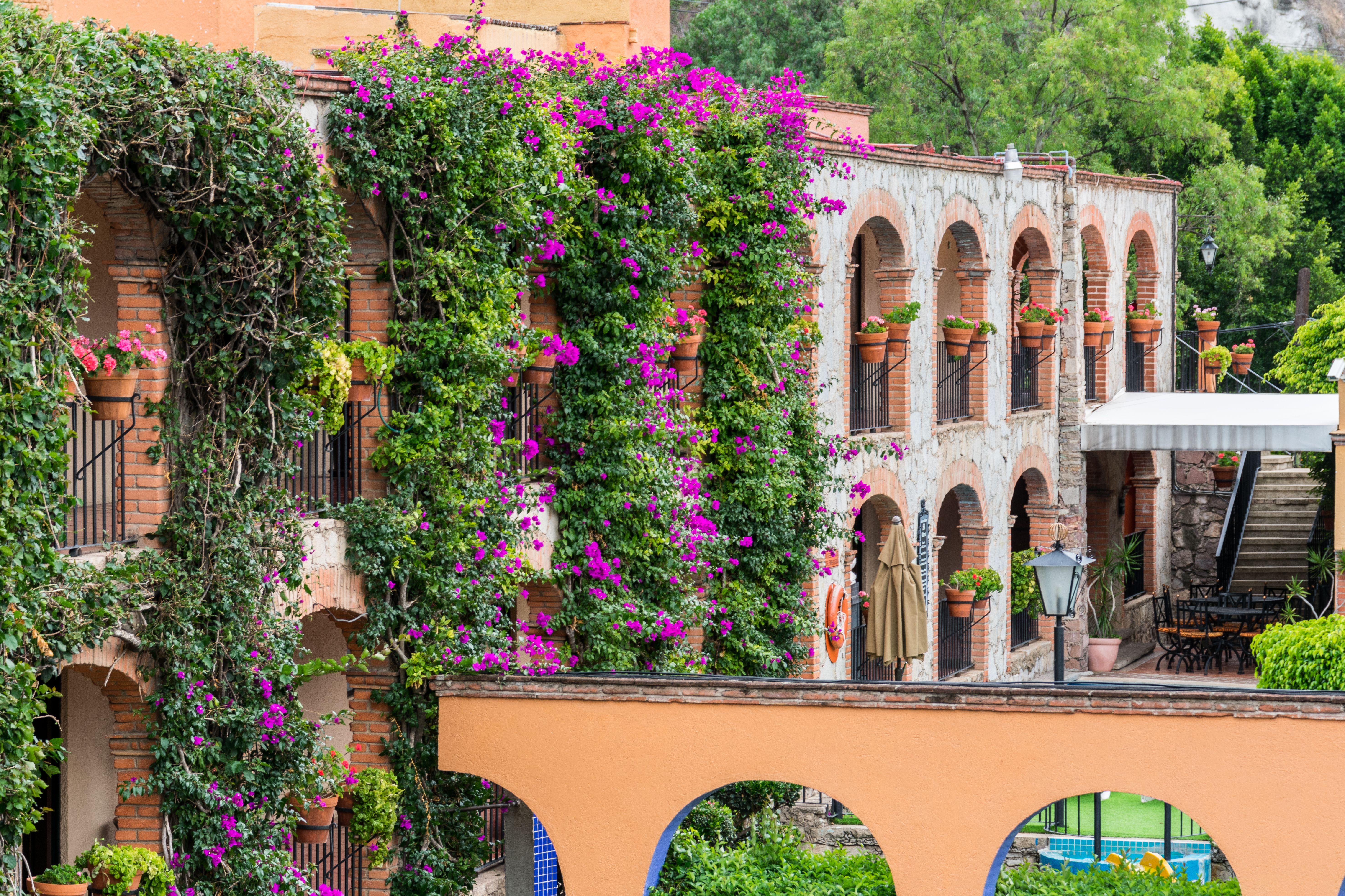 Hotel Abadia Plaza Guanajuato Zewnętrze zdjęcie