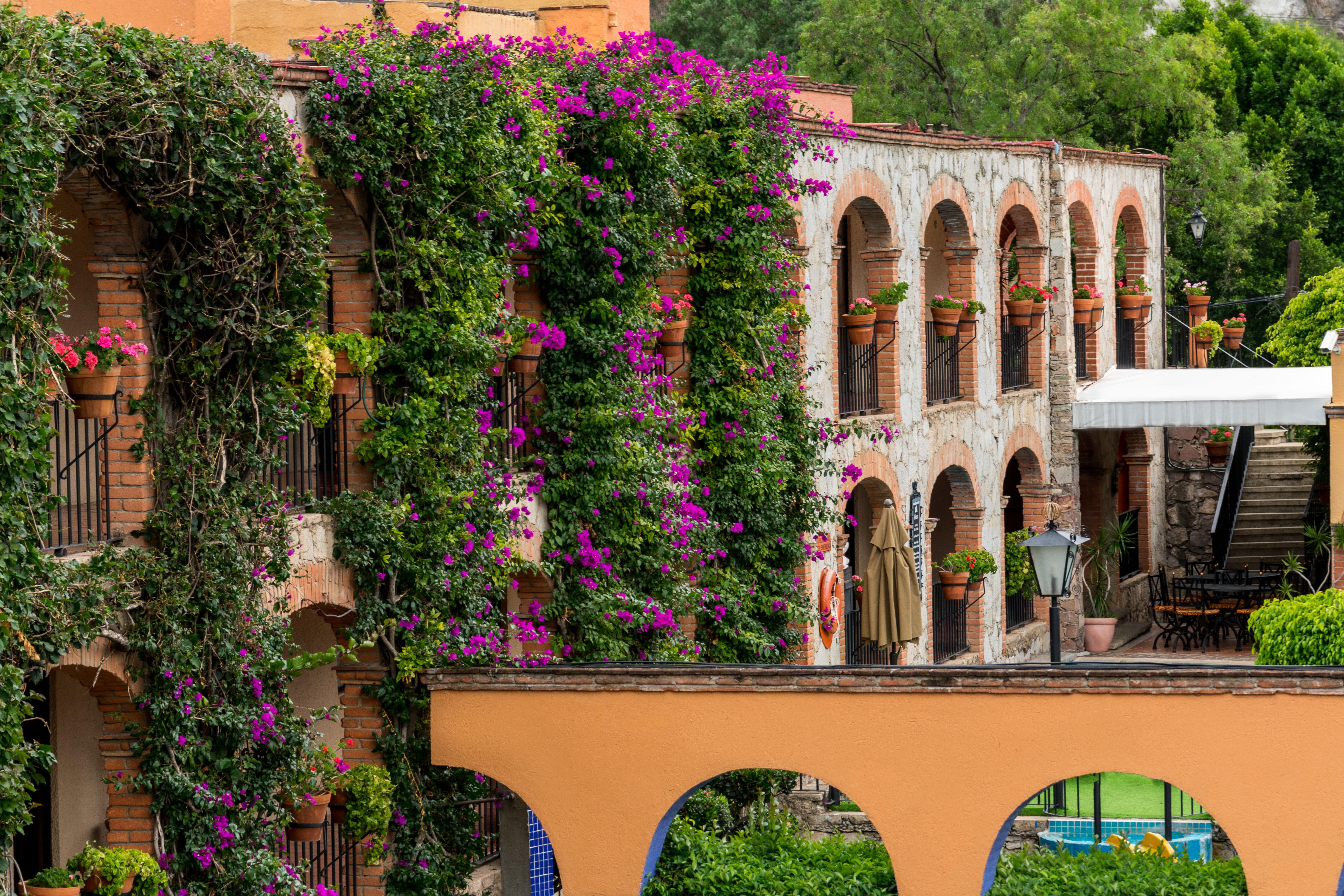 Hotel Abadia Plaza Guanajuato Zewnętrze zdjęcie